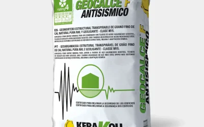 SACO GEOCALCE F ANTISISMICO 25 Kg 14537  (**)